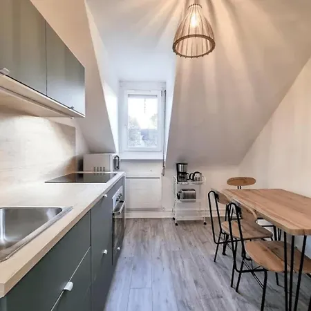 Soh Rent Saint Florent Proche Gare * Страсбург